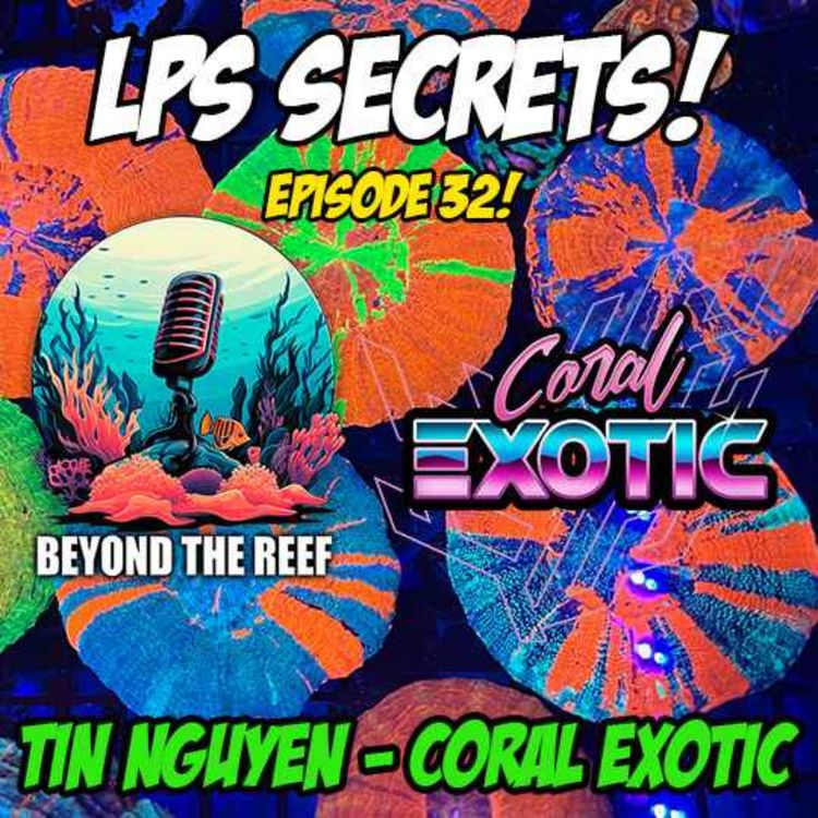 cover art for Talkin LPS with Tin Nugyen - Coral Exotic