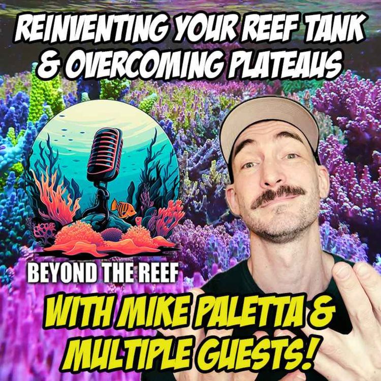cover art for Reinventing How You Reef & Overcoming Plateaus (Mike Paletta + Multiple Guests)