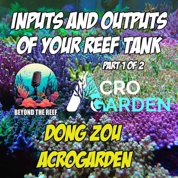 cover art for Inputs & Outputs Of Your Reef Tank: Dong Zou - AcroGarden (pt 1)