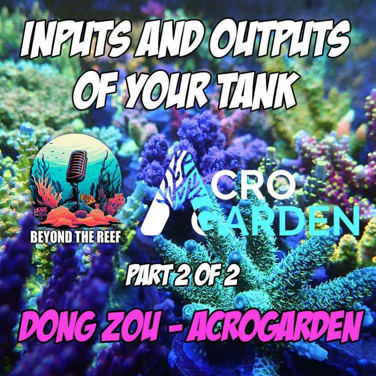 cover art for Inputs & Outputs Of Your Reef Tank: Dong Zou - AcroGarden (pt 2)