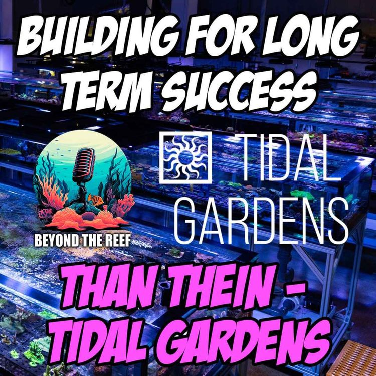 cover art for Building For Long-Term Success - Than Thein (Tidal Gardens)