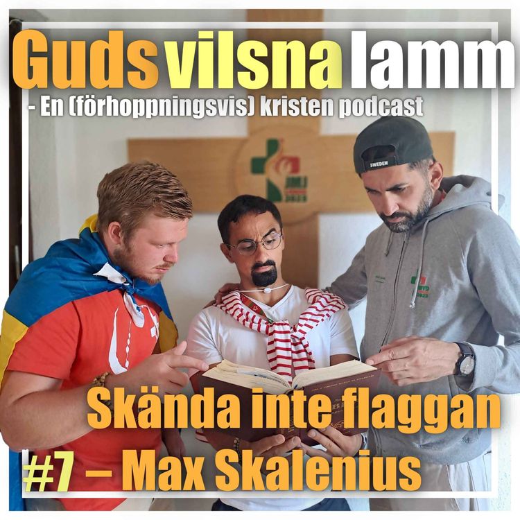 cover art for Skända inte flaggan (Gäst: Max Martin Skalenius)