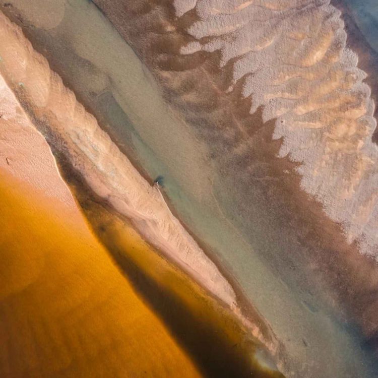 cover art for Growing up and older at work