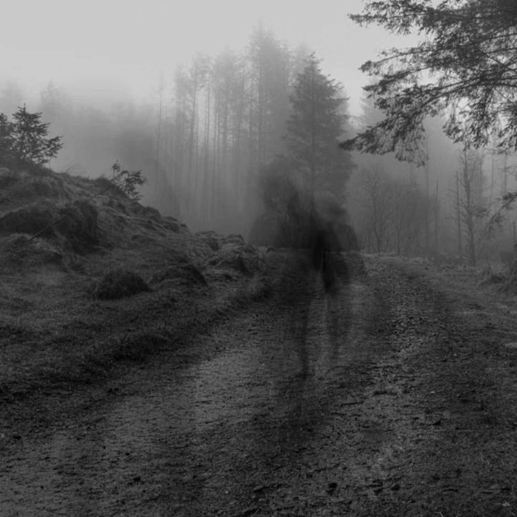 cover art for Why disappearance research matters