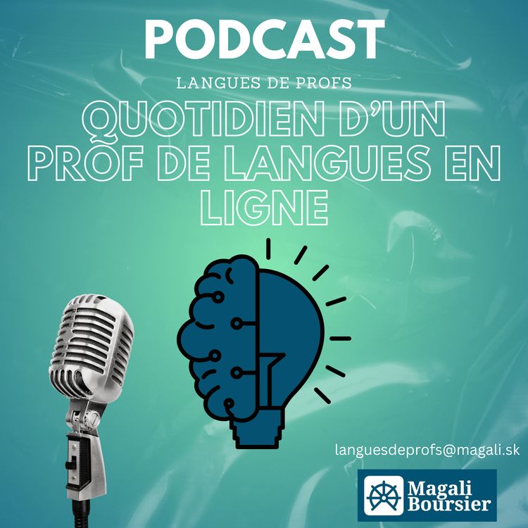 cover art for Coulisse du quotidien d'un prof de langues en ligne