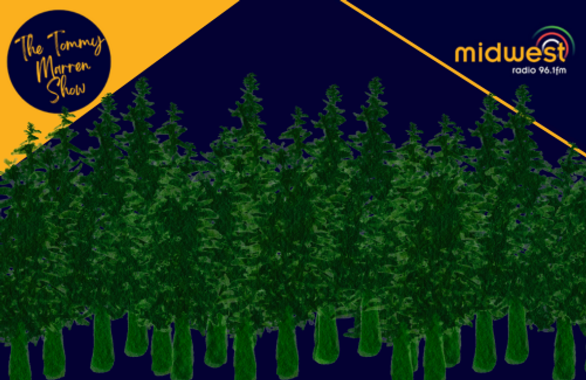 cover art for Minister of State Michael Healy-Rae, TD