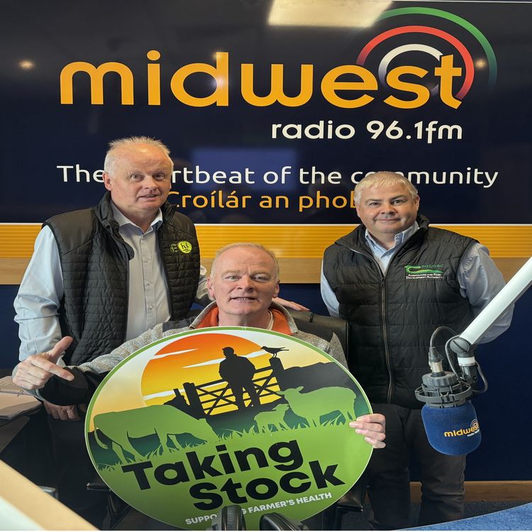 cover art for The Taking Stock Campaign - Laurence Gaughan and Enda Geoghegan