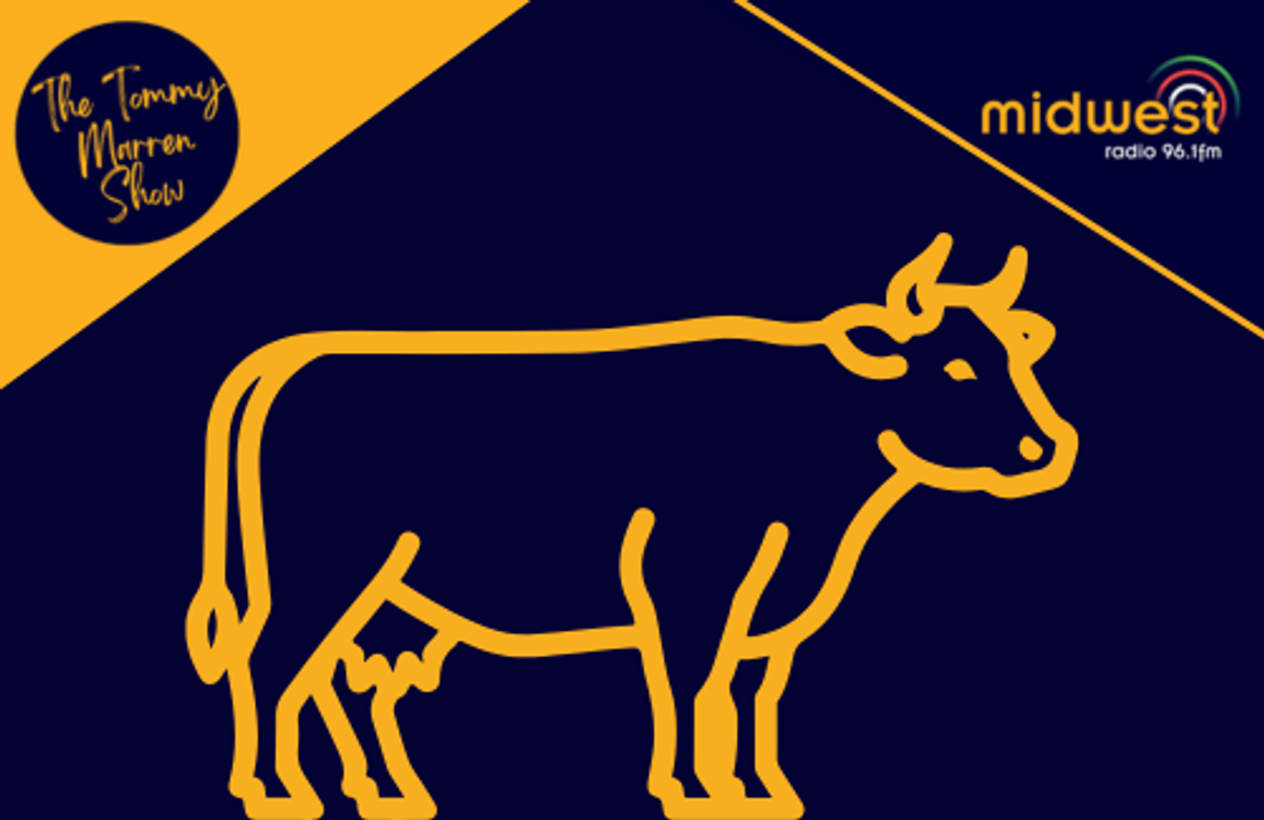 cover art for Ciarán Mullooly MEP on the EU-Mercosur Trade Deal