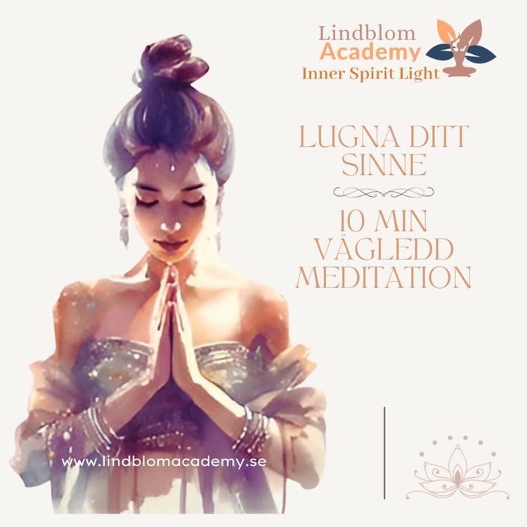 cover art for Vägledd Meditation