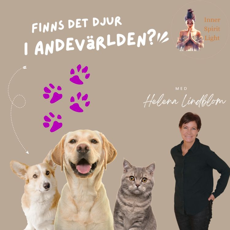 cover art for Finns det djur i Andevärlden? 🐕🐱