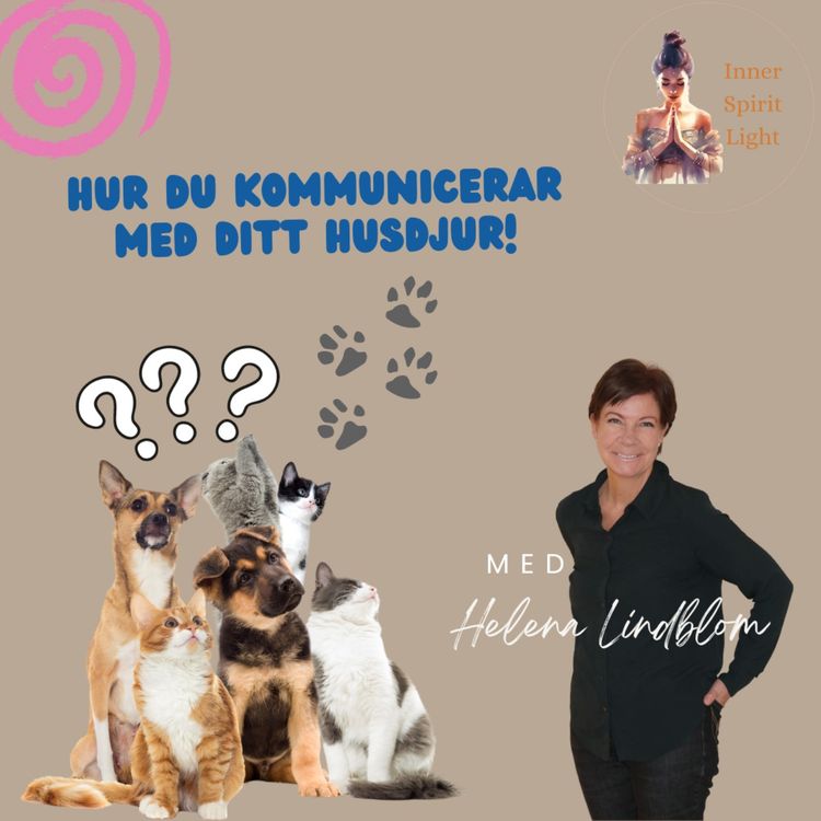 cover art for Hur du kommunicerar med ditt husdjur!  🐕🐱