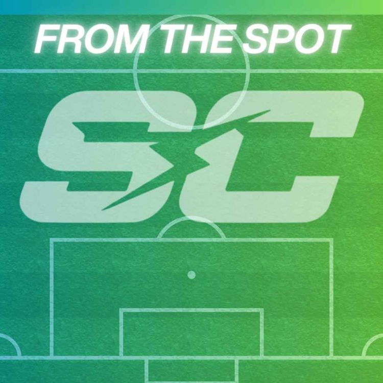 cover art for From The Spot: International Breaks Suck