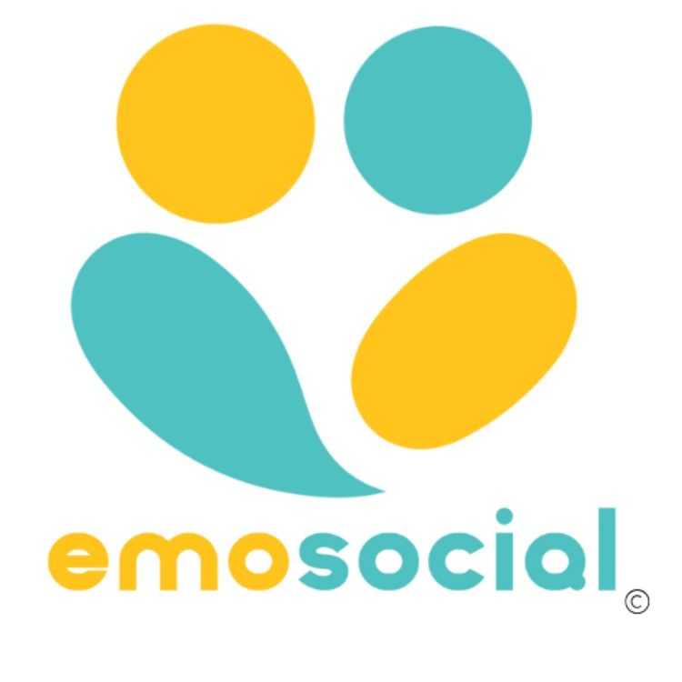 cover art for L'Insulte