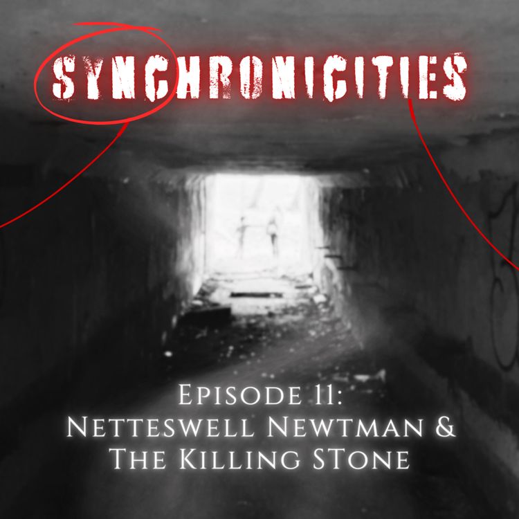 cover art for Episode 11: Netteswell Newtman and The Killing Stone