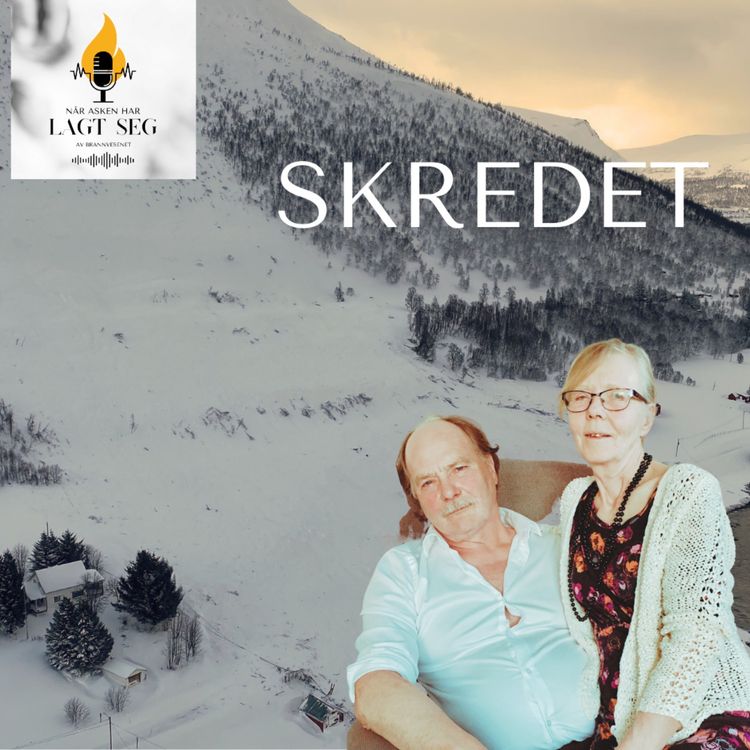 cover art for Skredet