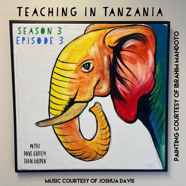 cover art for After Tanzania 3