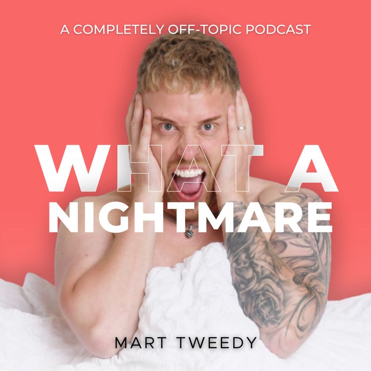 cover art for The time I had a bird in my car