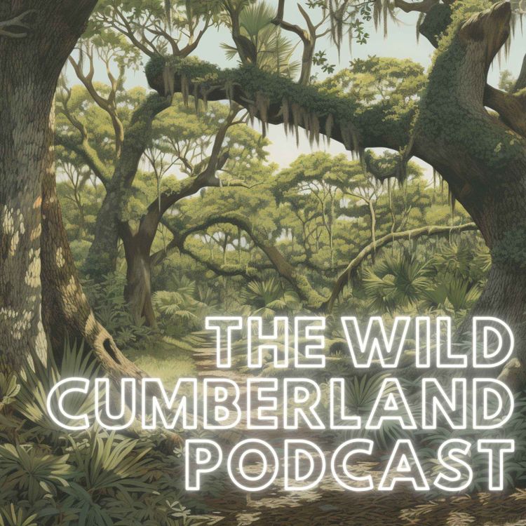 cover art for The Wild Cumberland Podcast - Special Guest Tal Galton