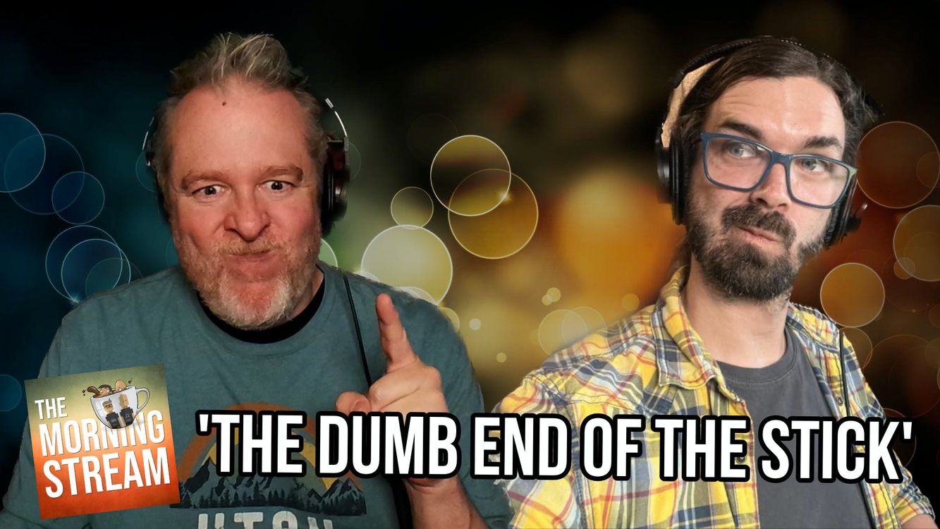 cover art for TMS 2512: The dumb end of the stick