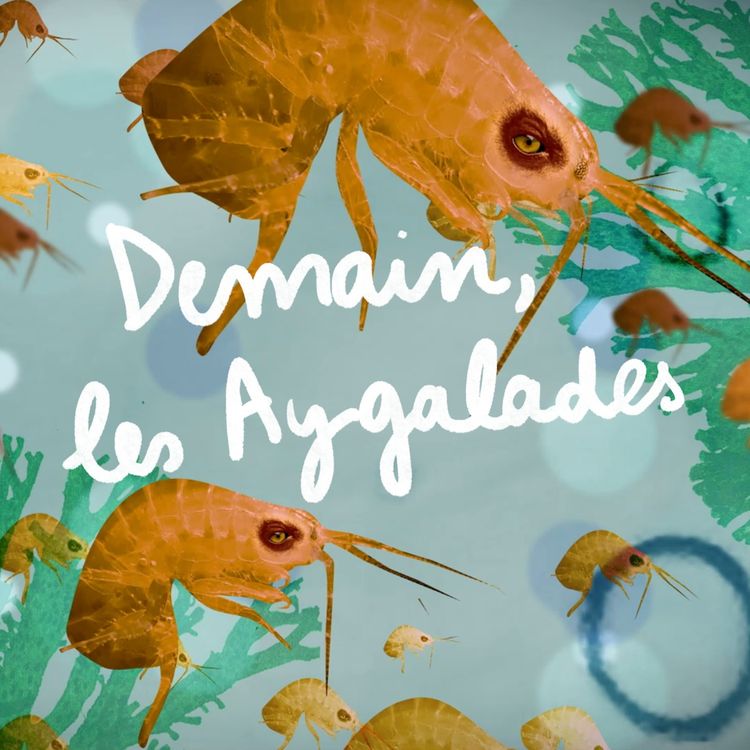 cover art for Demain les Aygalades - (4/4)