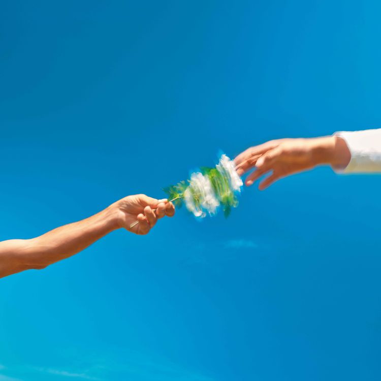 cover art for Glycine, la romantique