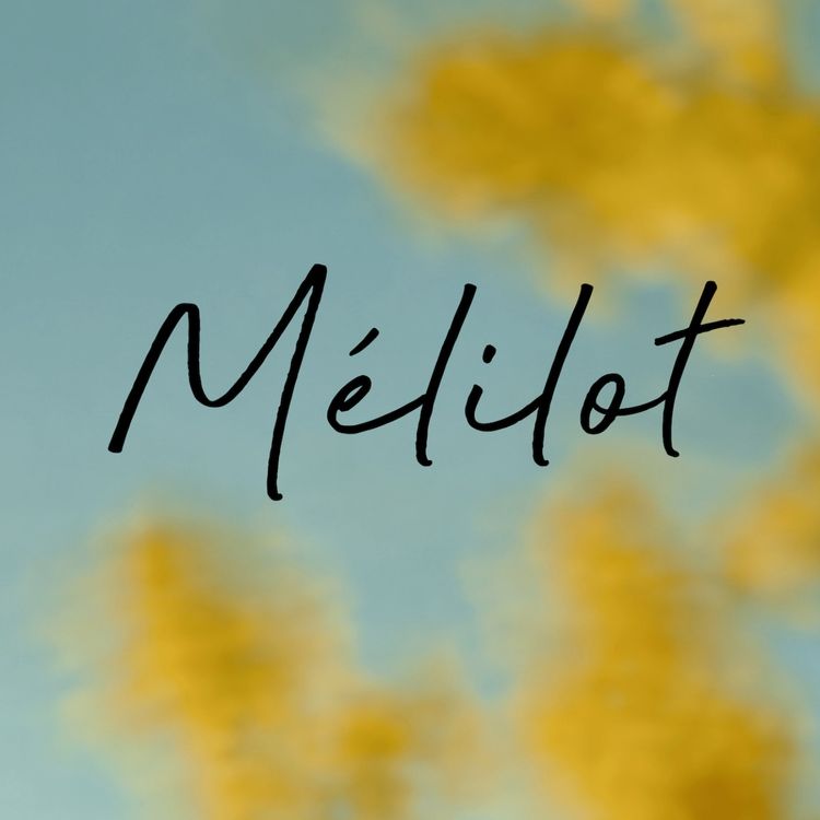 cover art for Mélilot, la tendre