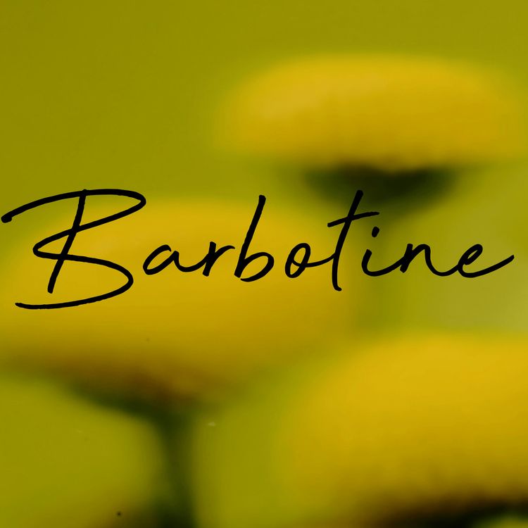 cover art for Barbotine, l’audacieuse