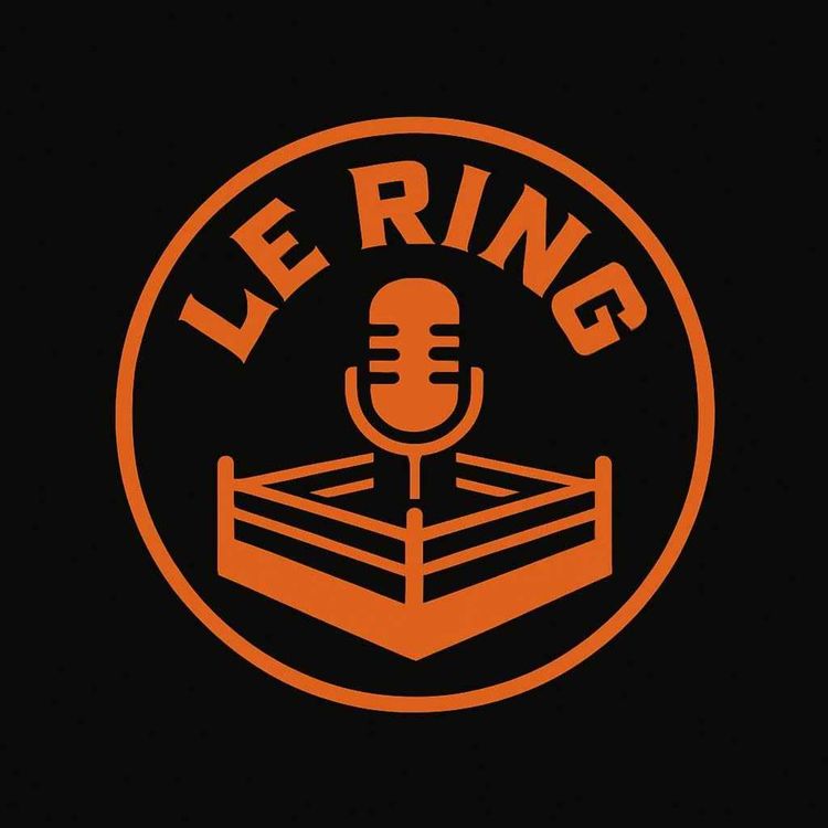 cover art for Le Ring | Ring Award 2025 (Résultats)