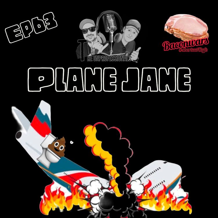 cover art for Plane Jane 