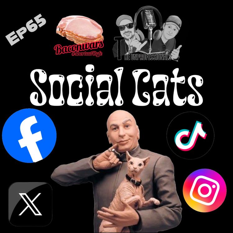 cover art for Social Cats