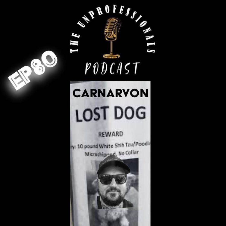 cover art for Lost Dog 