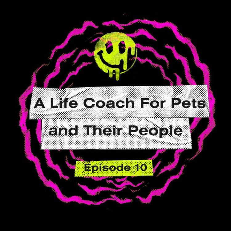 cover art for A Life Coach For Pets and Their People