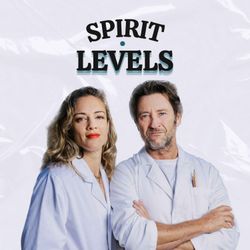 cover art for Spirit Levels