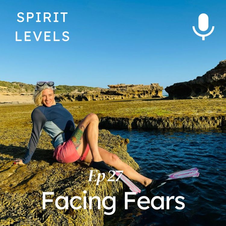 cover art for Facing Fears