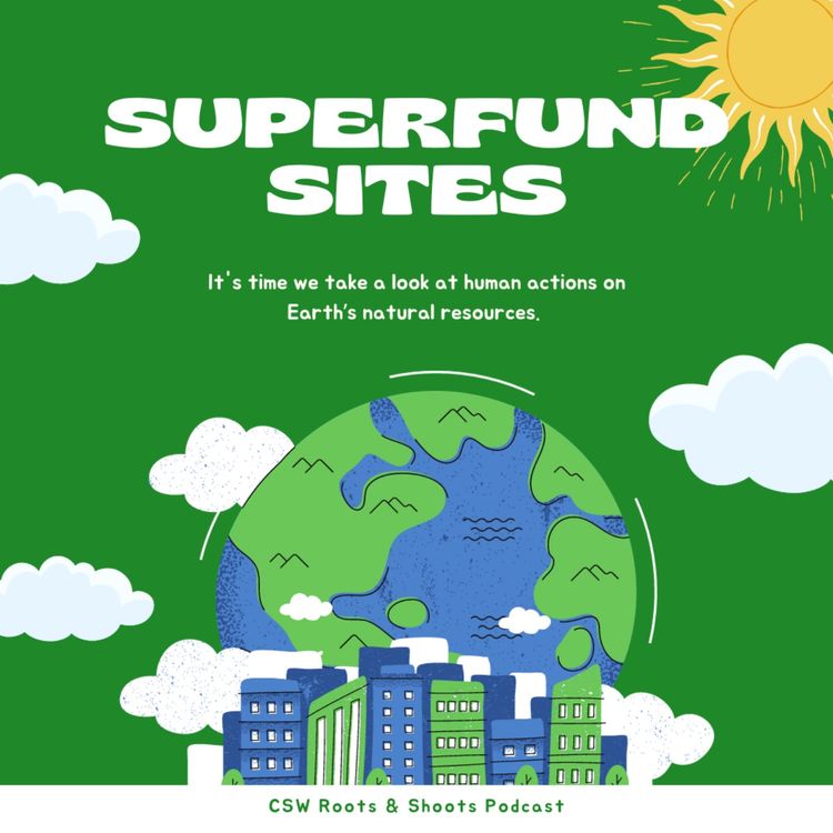 cover art for Superfund Sites