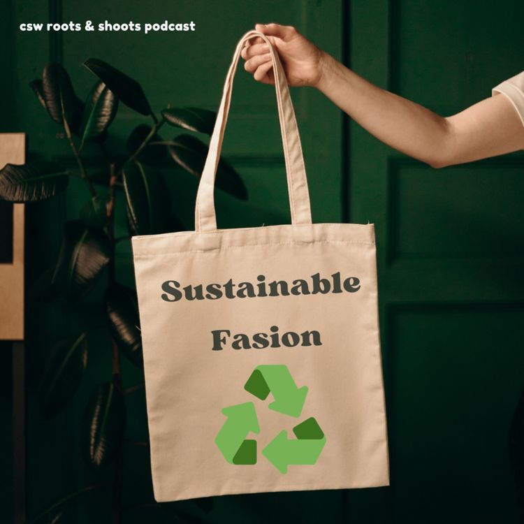 cover art for Sustainable Fasion