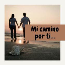 cover art for Mi camino por ti…