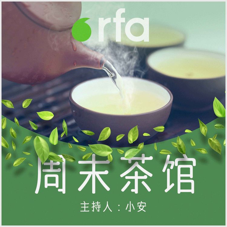 cover art for 重温中国民主实验--乌坎事件(续篇)