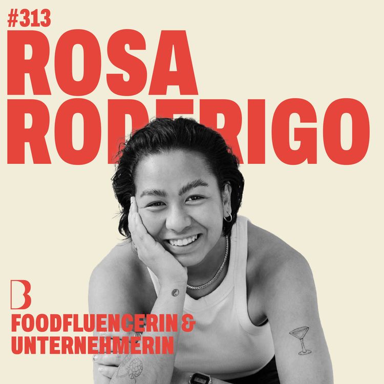 cover art for #313 STRESSFLÖTEN IN NEW YORK CITY I mit Rosa Roderigo