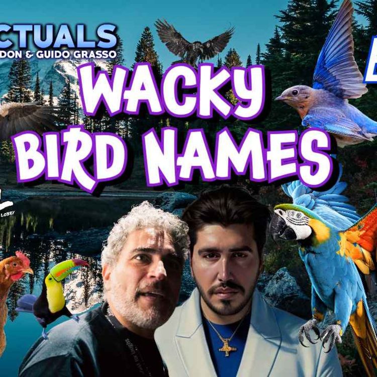 cover art for Episode 140 | Wacky Bird Names