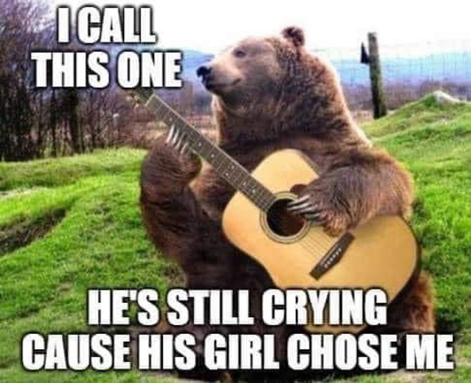 cover art for Man vs. Bear Debate