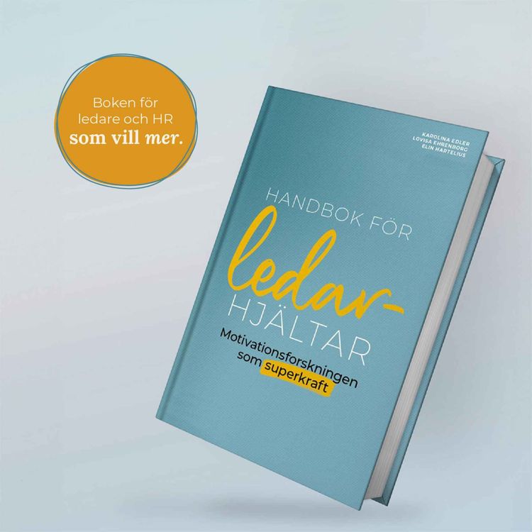 cover art for #17 Författarsamtal om boken Handbok för Ledarhjältar