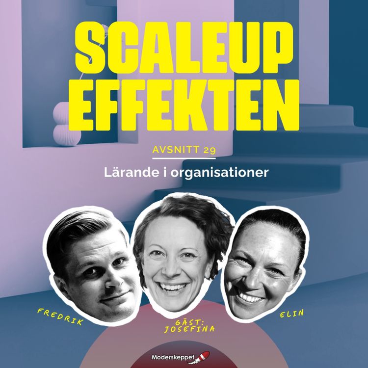 cover art for #29 Lärande i organisationer med Josefina Sahlin