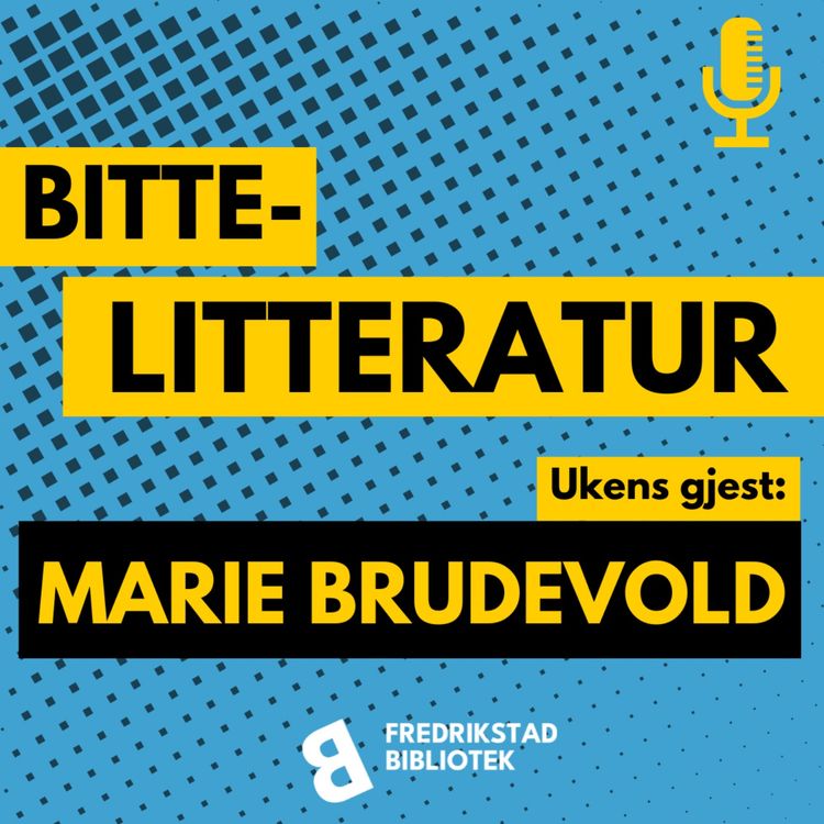 cover art for Marie Brudevold: Ville lese på backpacking, men uaktuelt med lesebrett