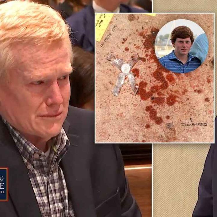 cover art for El Enigma de los Murdaugh: Cinco Muertes que Sacudieron Carolina del Sur