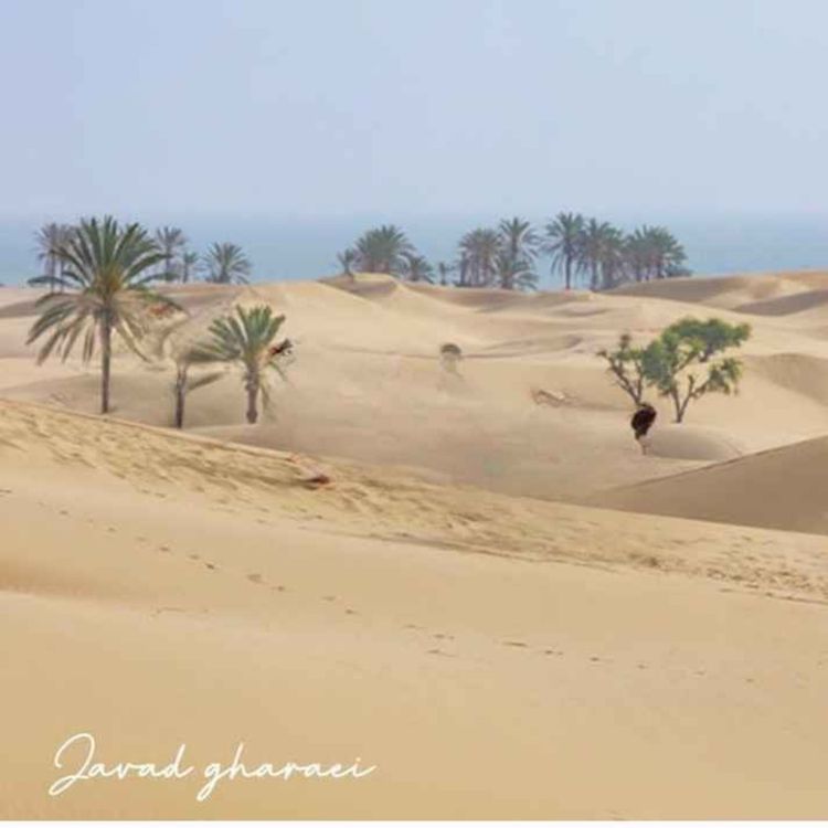 cover art for معرفی کَندیل
