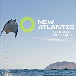 cover art for NewAtlantis Ocean Podcast