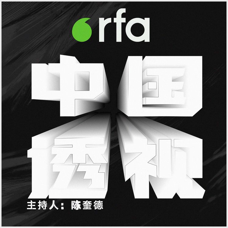 cover art for 空话经济 鸡贼外交 - 中共2025两会一瞥