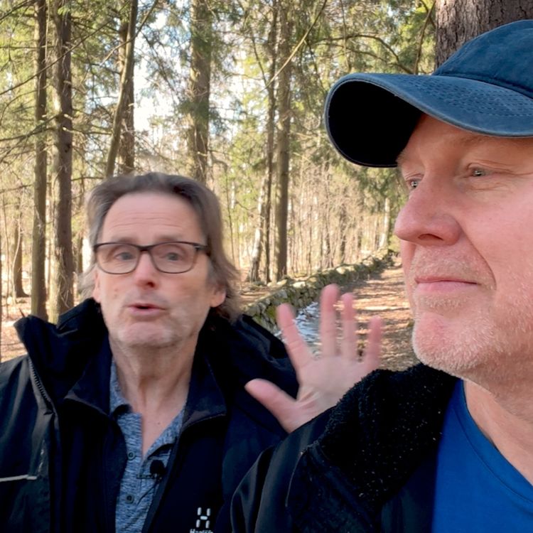 cover art for 05. Hvor skyldig er du?