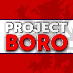 cover art for Project Boro